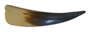 gr��eres Bild - Schuhl�ffel Horn     1880